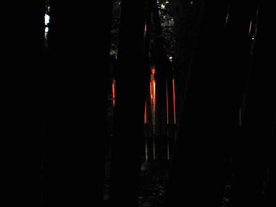 [Through The Columns]