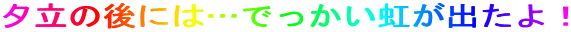 [̌ɂ́cłoI
