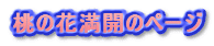 ̉ԖJ̃y[W