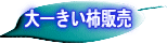 ł`@̔