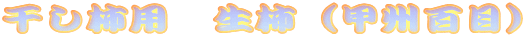 `p@`ibBSځj