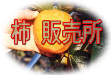 柿 販売所