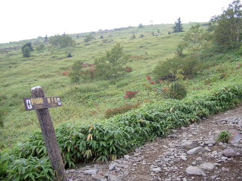 qxւ̓