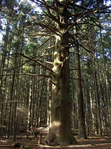 吙