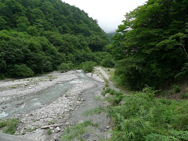 hhR