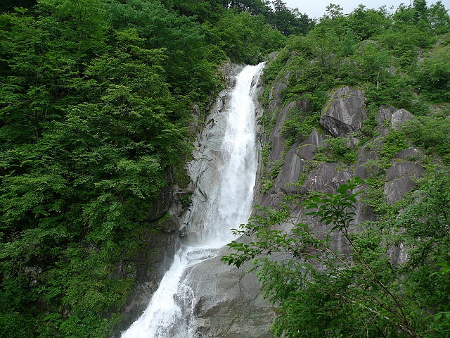 쐸i