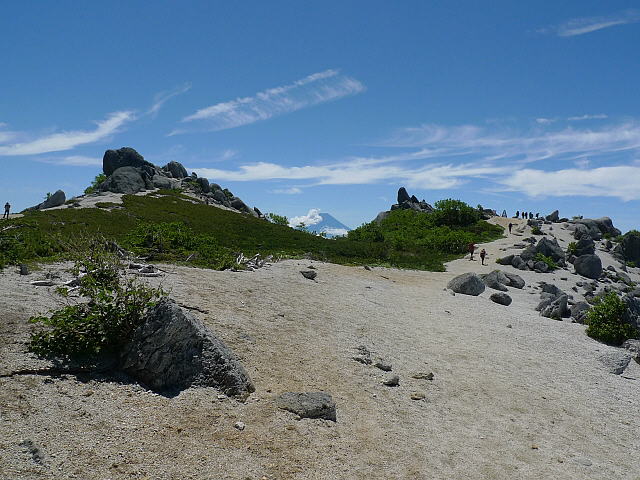txR