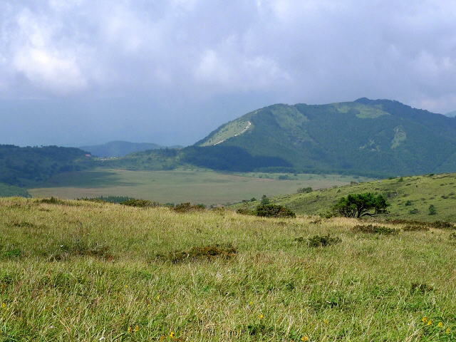 八島ヶ原湿原