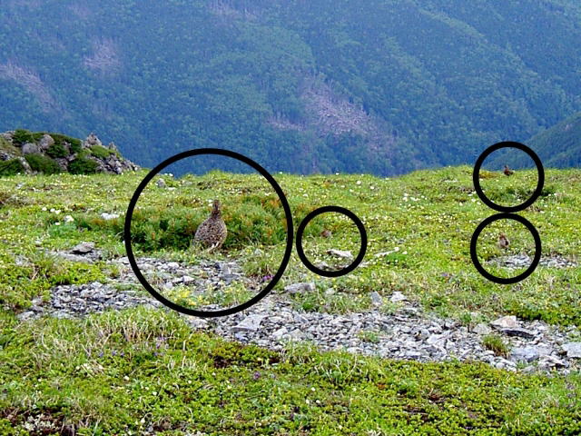 ̐eq