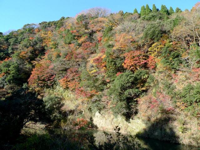 m쉈