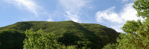 n̔wqbe