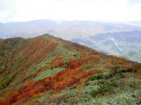 松手山の尾根