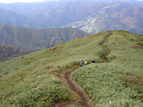 平標山への尾根