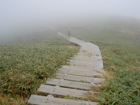 平標山・仙ノ倉山間