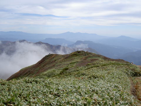 仙ノ倉山頂から谷川岳への縦走路方向