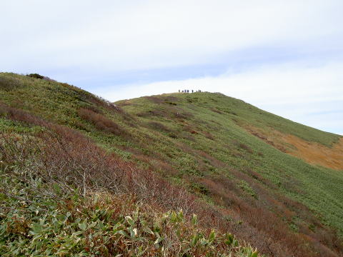 縦走路から仙ノ倉山を見上げる
