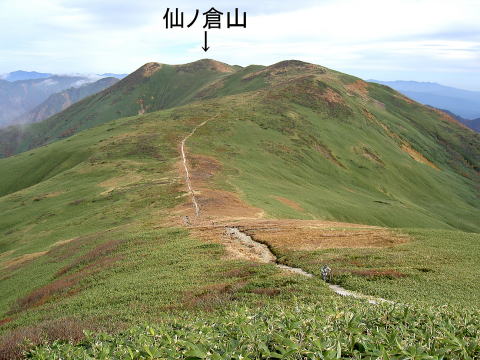 平標山頂上から仙ノ倉山を望む