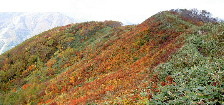 松手山の尾根 合成