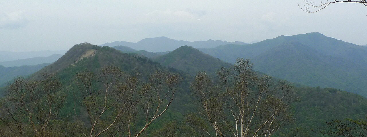 mRR