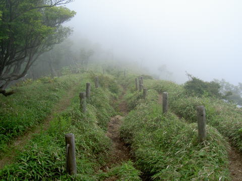ORւ̓