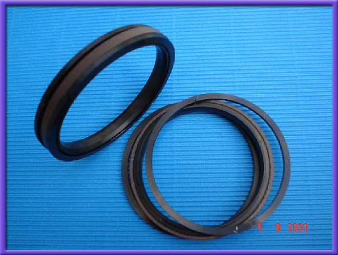SPGW-PISTON-SEAL.jpg