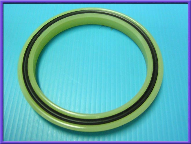 UPRM-ROD-SEAL.jpg