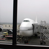 千歳空港で