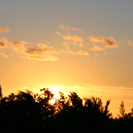 ワイコロアの夕日