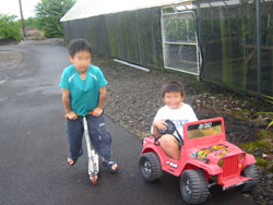 ヒロのお家で遊んでいる子供たち