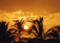 Bayclubから見た夕日です